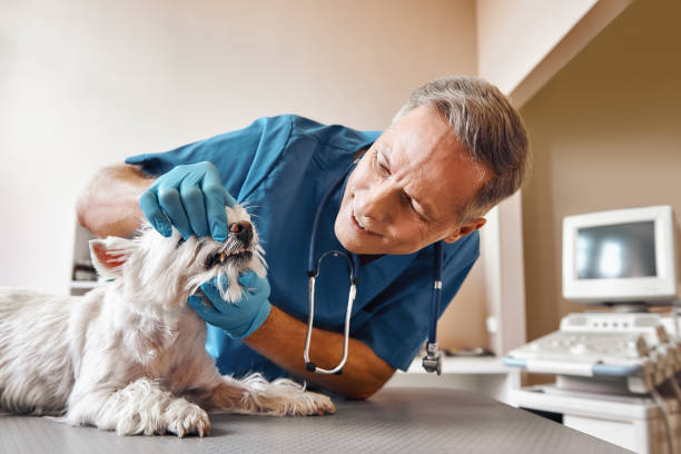 Best Emergency Tooth Extraction in Audubon, IA